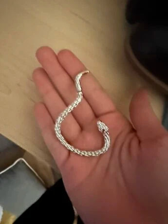 Snake Earring Wrap