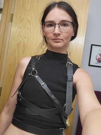 Shoulder Harness