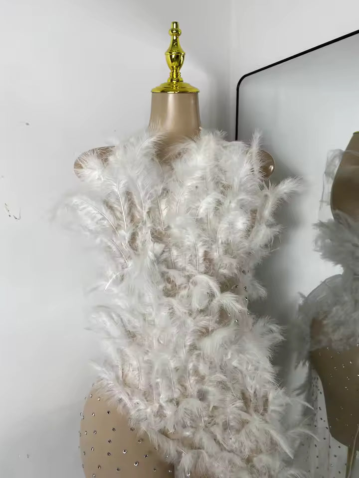 Drag Queen Feather Dress