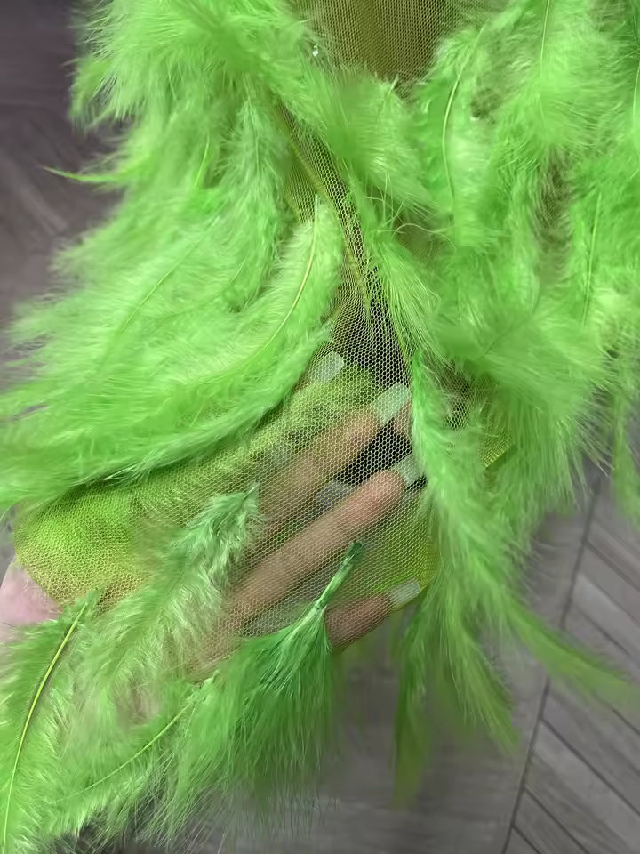 Drag Queen Feather Dress