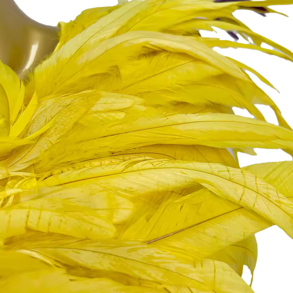 Yellow Feather Dress