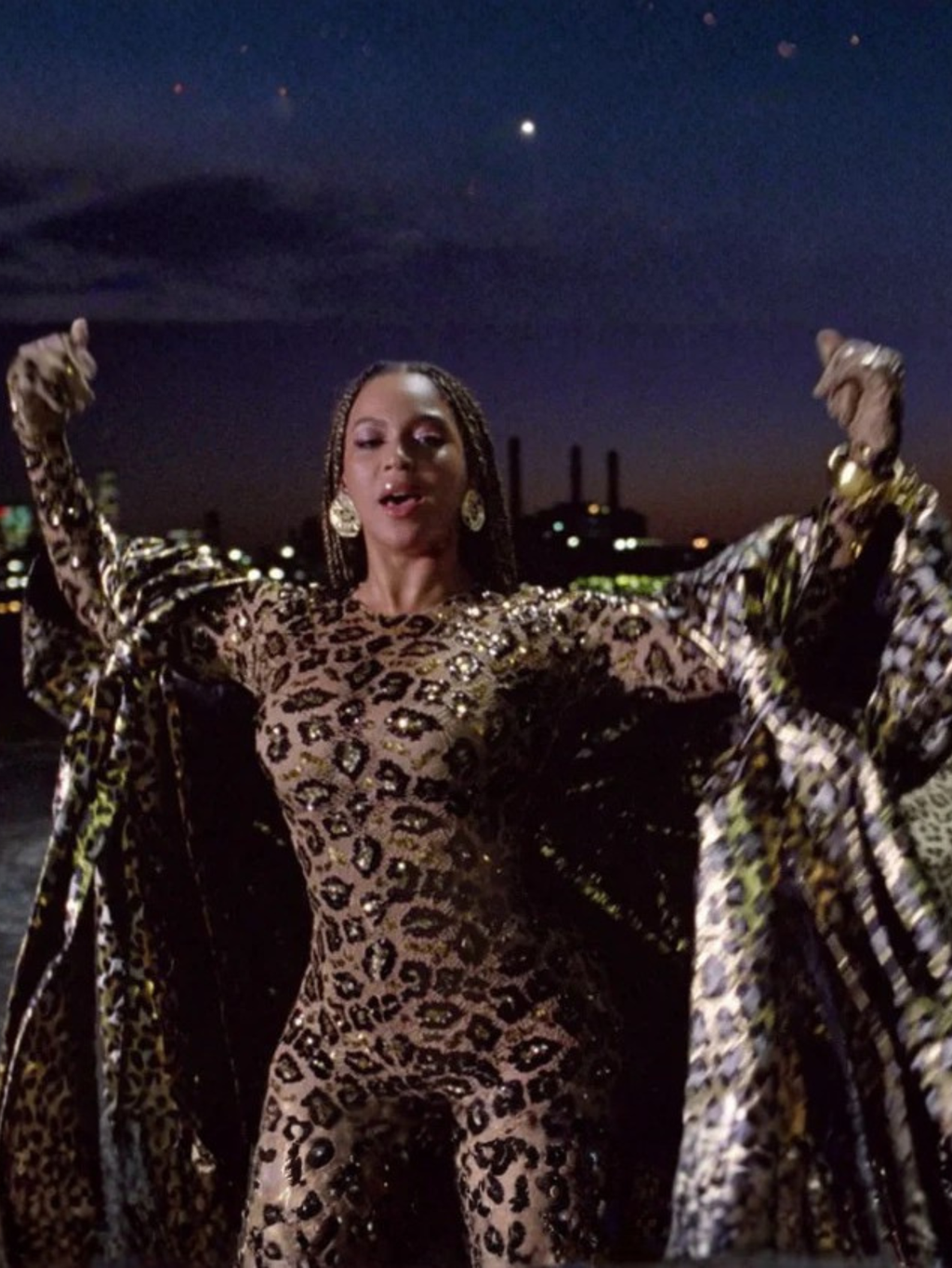 Beyonce Leopard Lyrical Jumpsuit