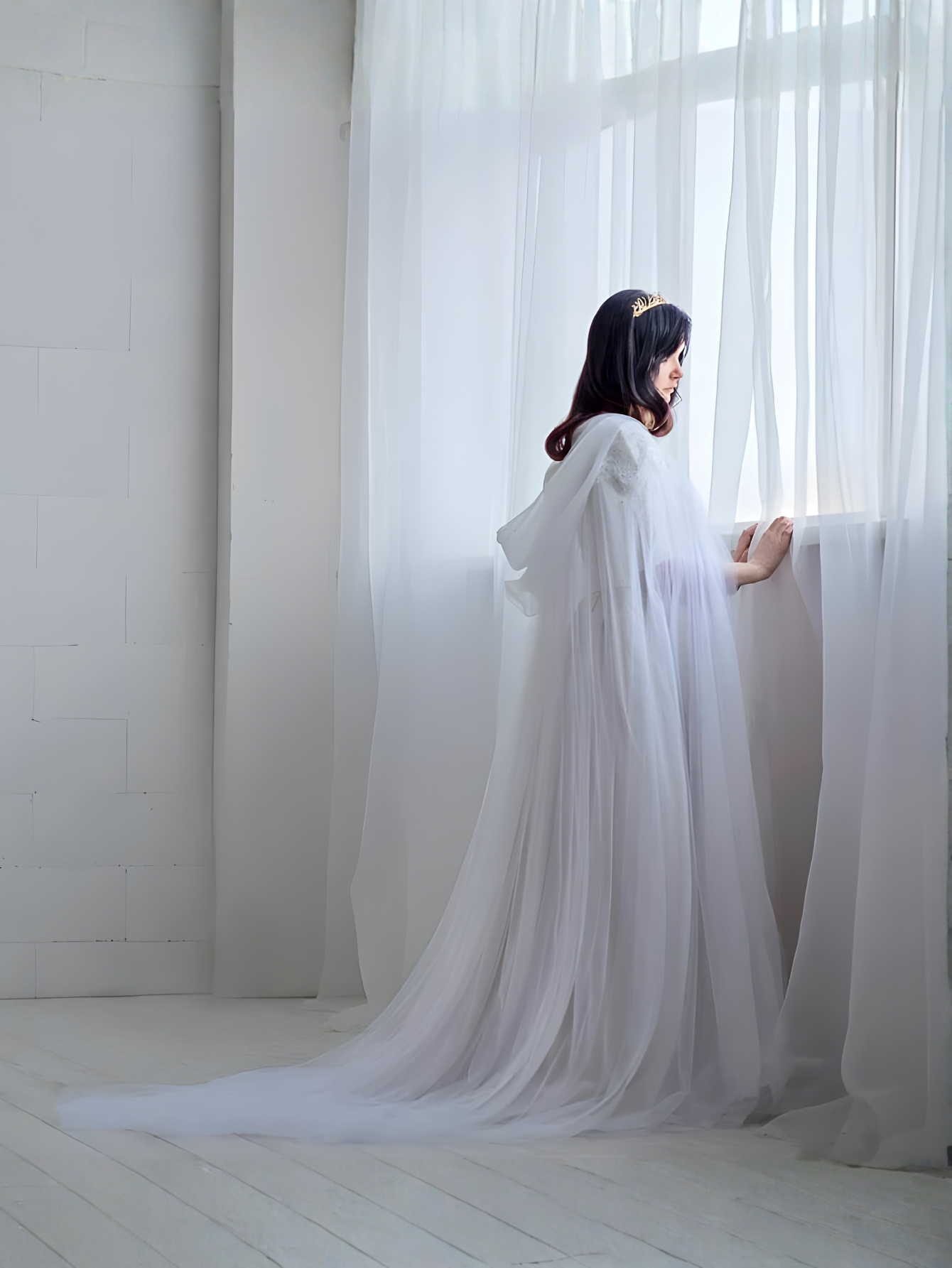 Sheer Cape Costume