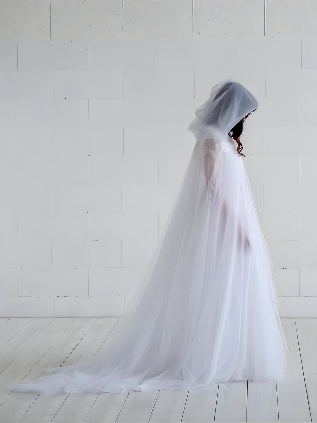 Sheer Cape Costume