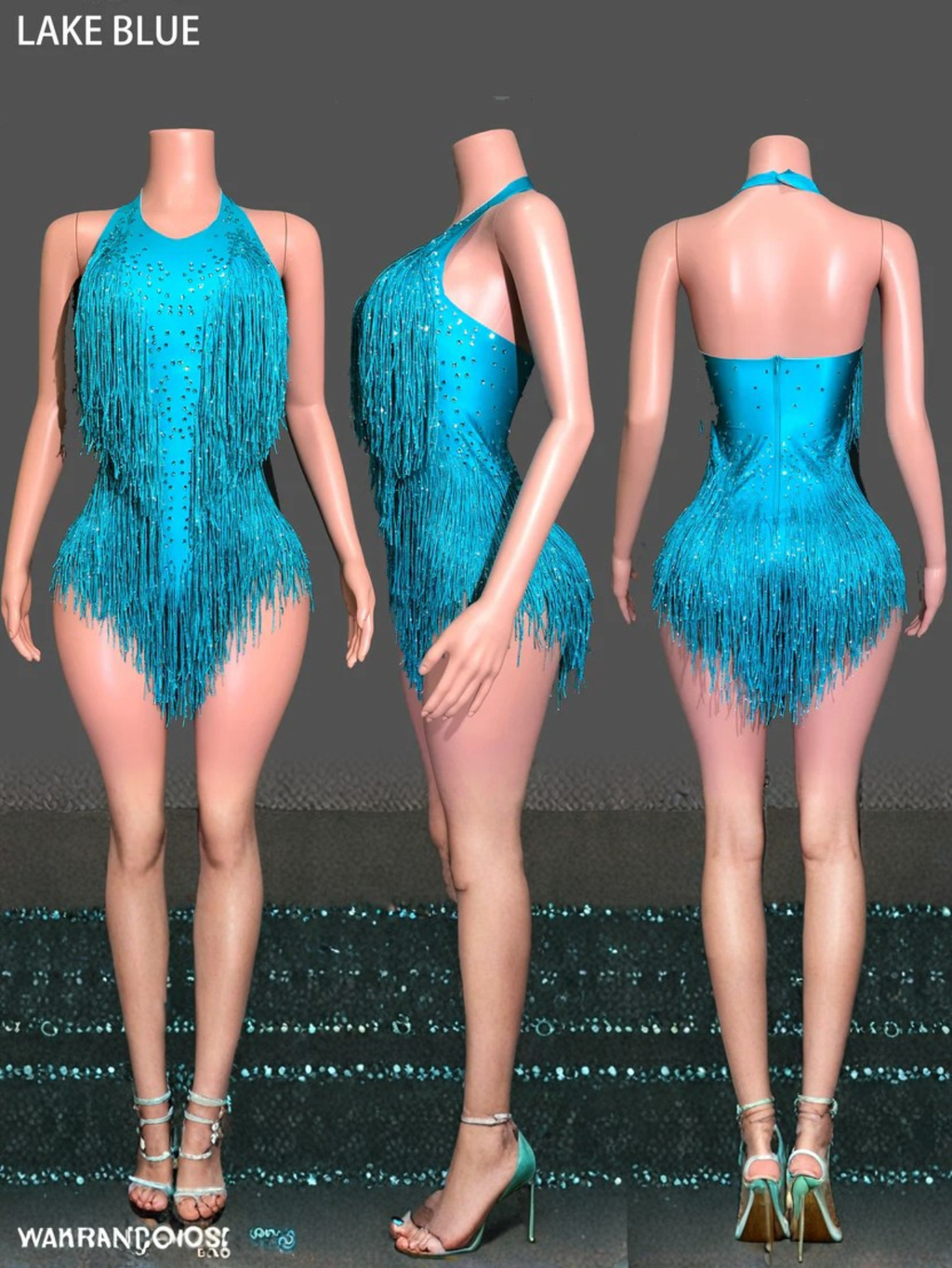 Tina Turner Fringe Dance Costume