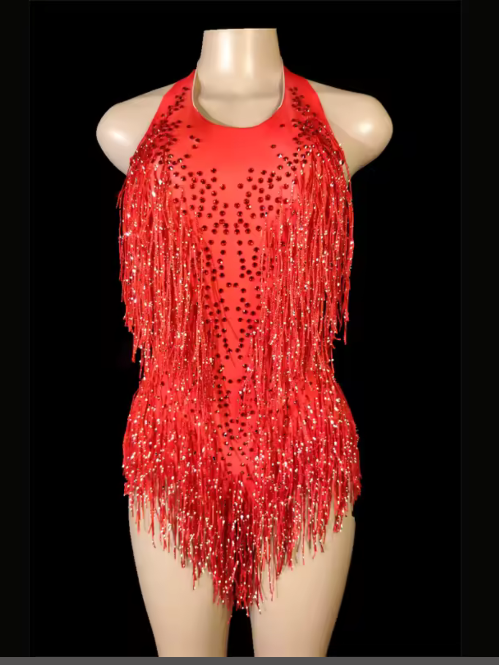 Tina Turner Fringe Dance Costume