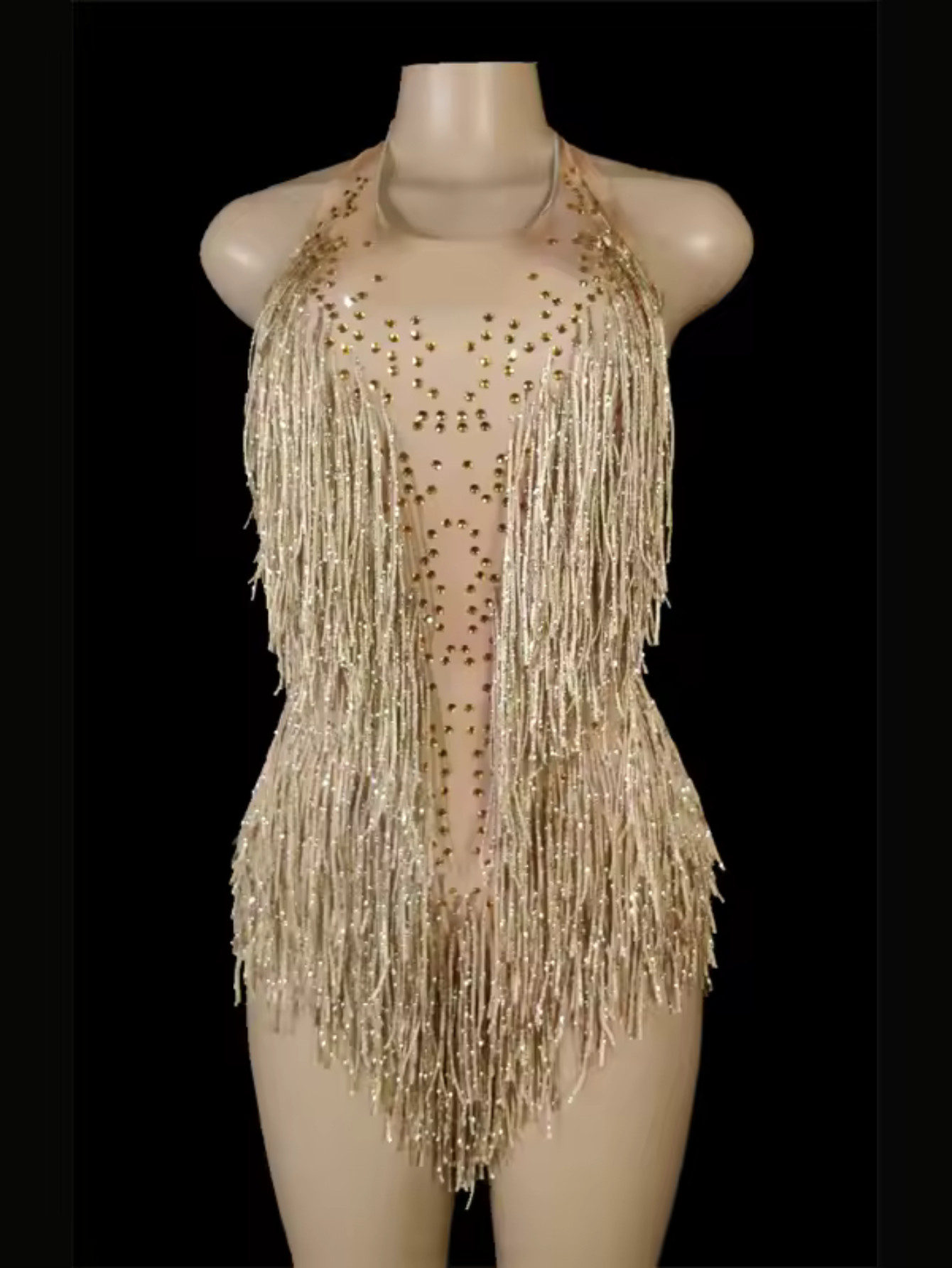 Tina Turner Fringe Dance Costume