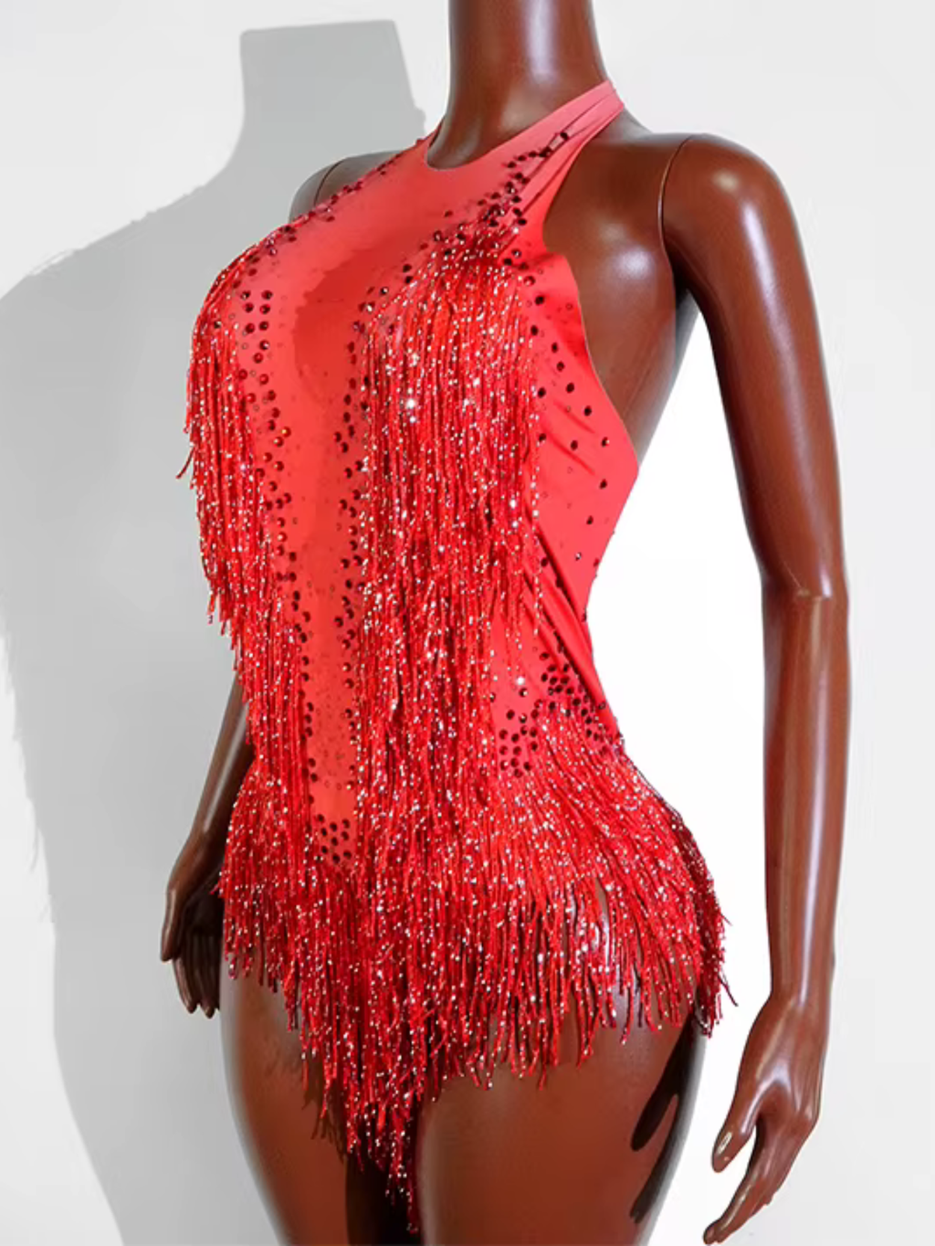 Tina Turner Fringe Dance Costume