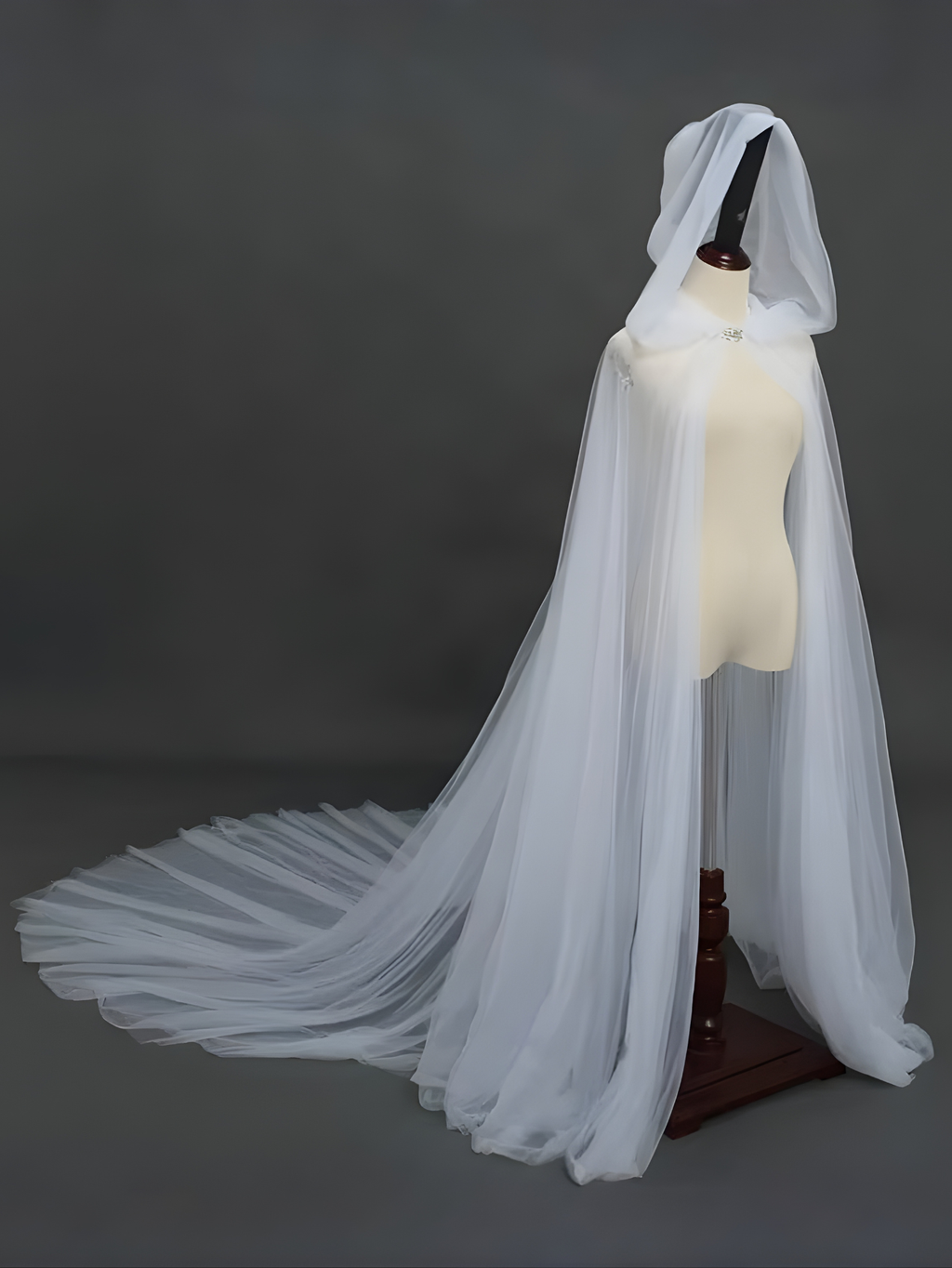 Sheer Cape Costume