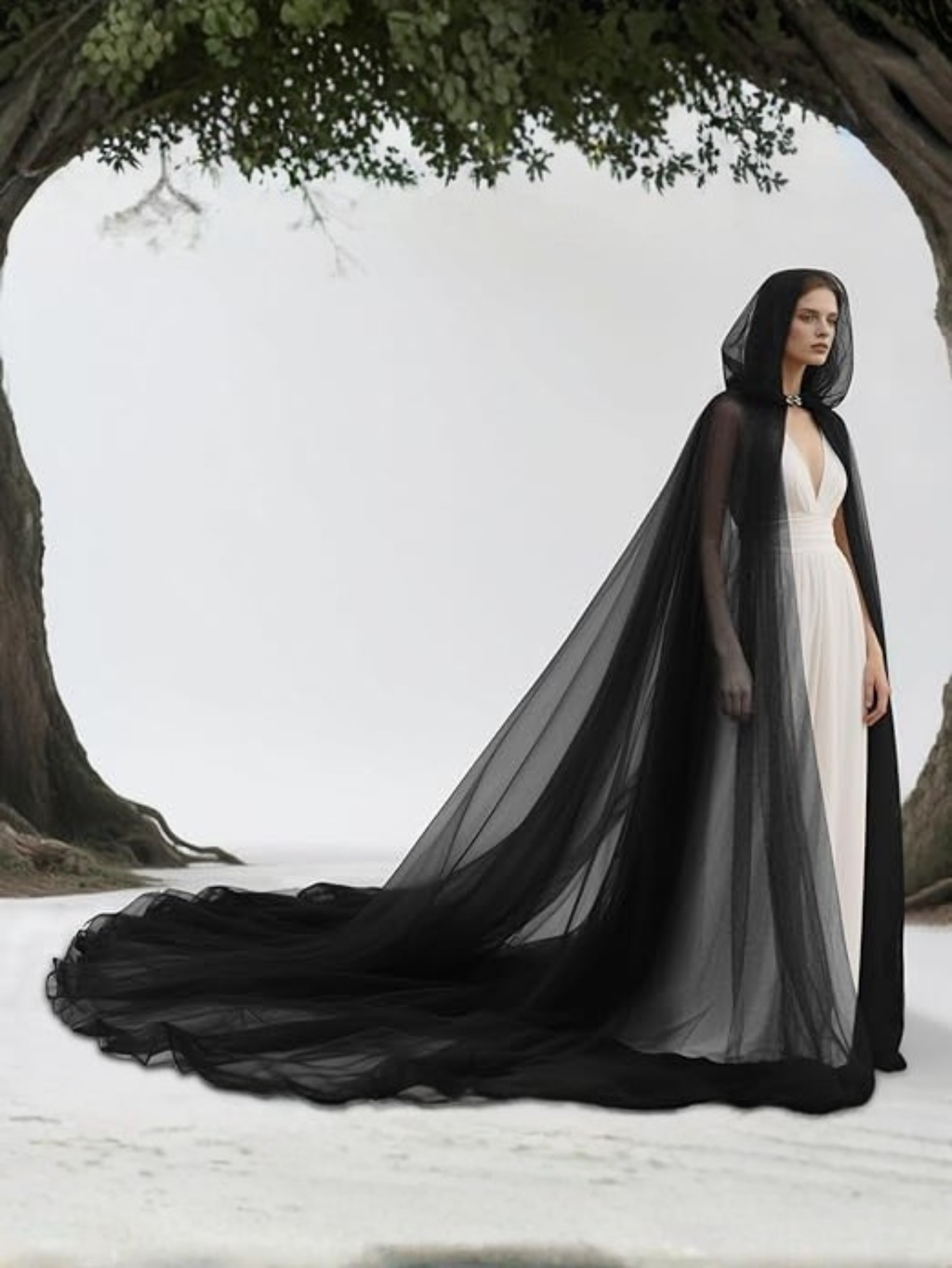 Sheer Cape Costume