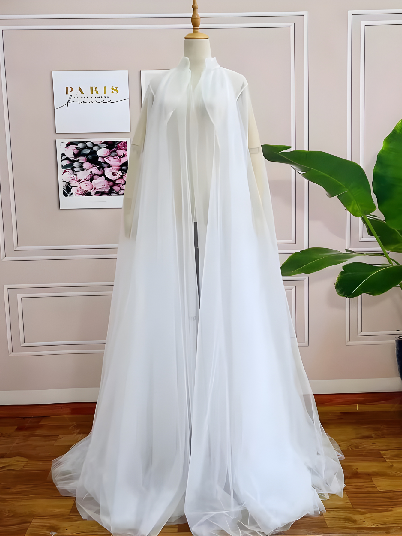 Sheer Cape Costume