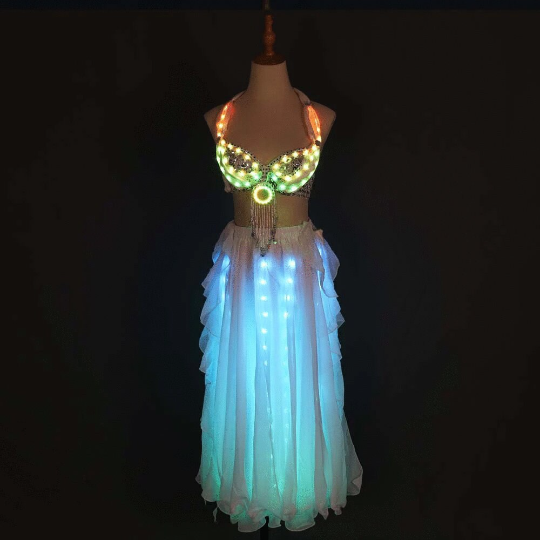 Led Light Belly Dance Costume