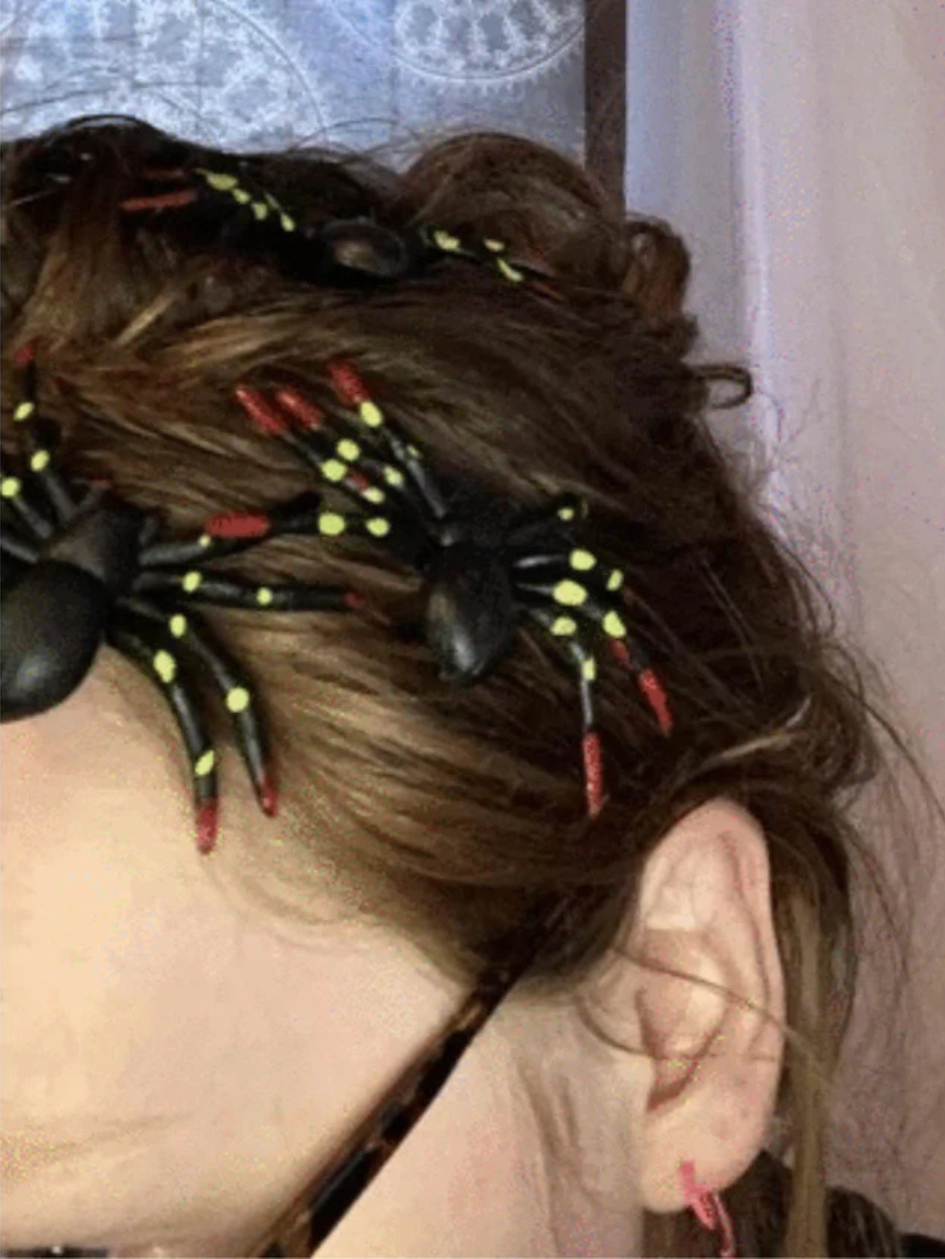 Spider Hair Clips 3PC