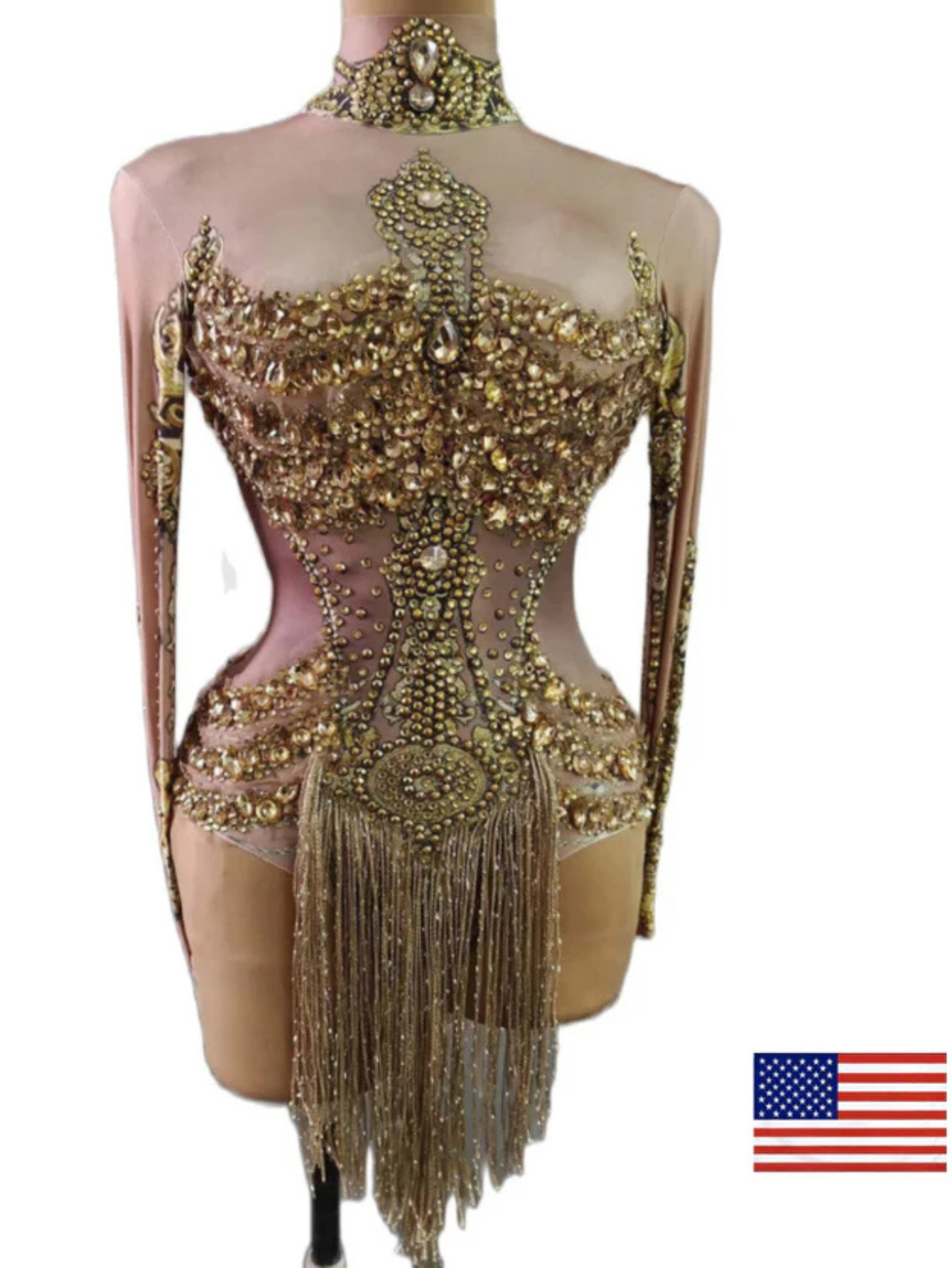 Tina Turner Fringe Dance Costume
