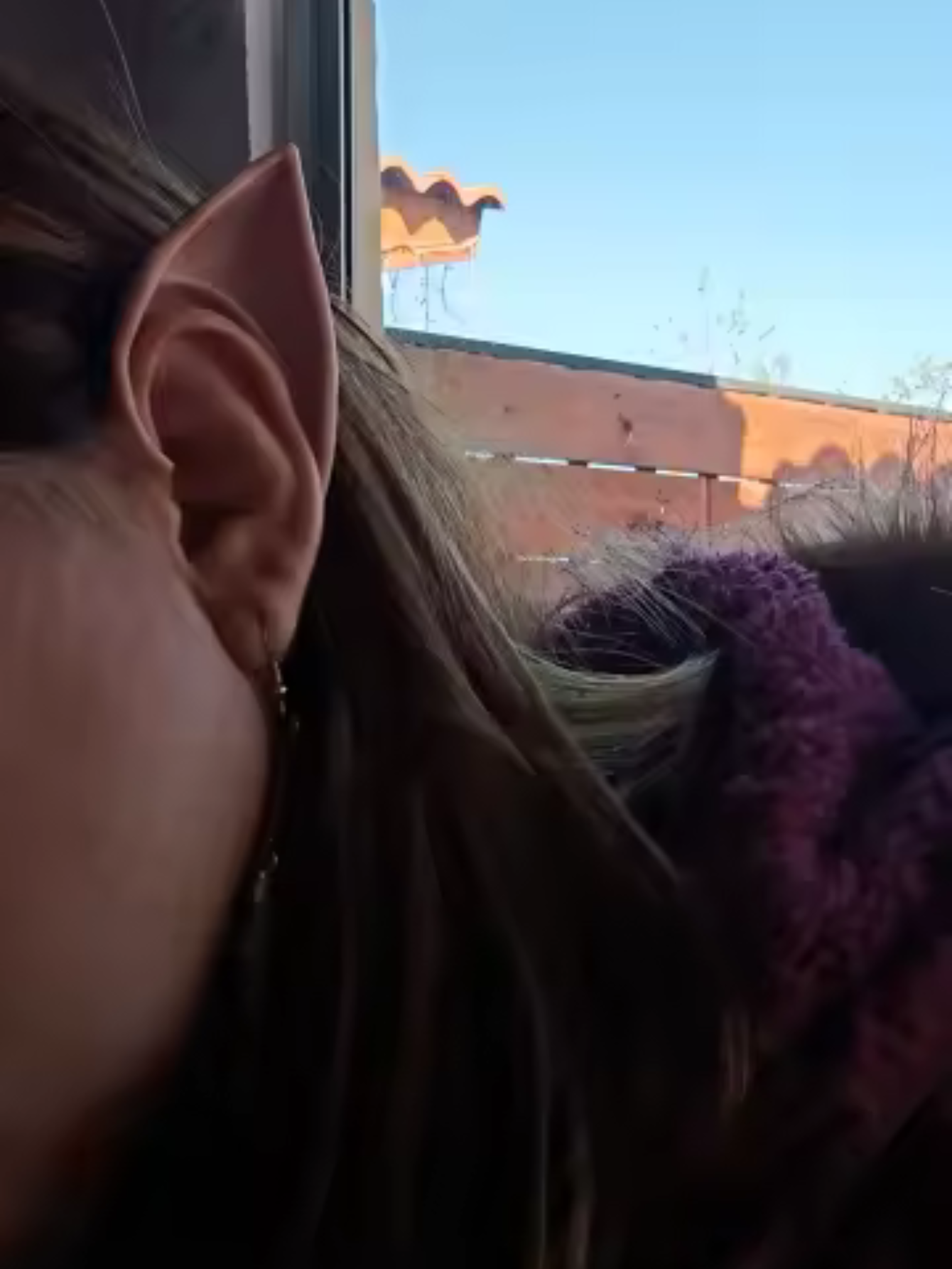 Elf Fairy Cosplay Ears