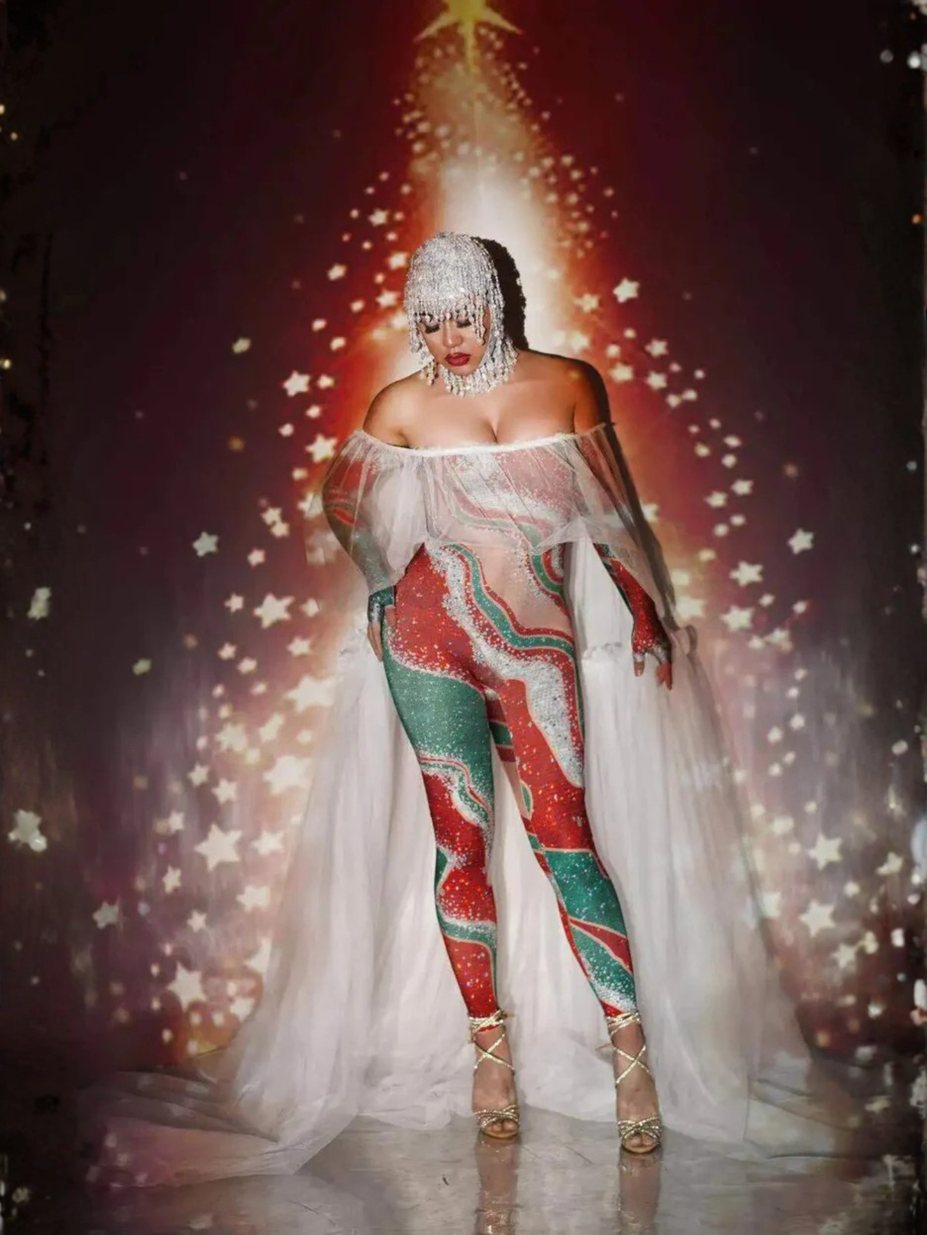 Christmas Sheer Dance Leotard Costume